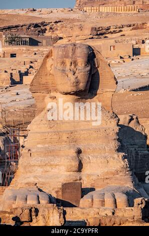 Sphinx à Giza, le Caire tôt le matin Banque D'Images