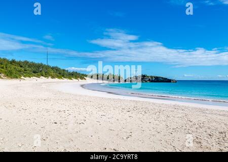 La magnifique plage de sable de Horseshoe Bay, sur l'île des Bermudes Banque D'Images