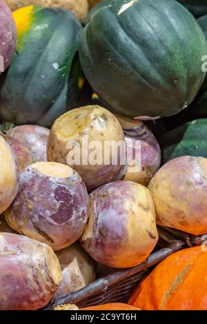 Swedes et squash à vendre sur une stalle de marché Banque D'Images