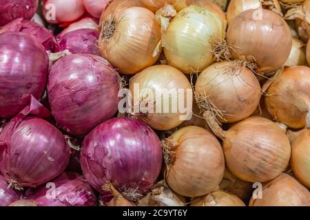 Oignons rouges et blancs à vendre sur un marché Banque D'Images