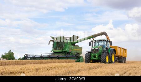 Moissonneuse-batteuse déposant du blé dans une remorque de tracteur. Beaucoup Hadham, Hertfordshire. Angleterre. ROYAUME-UNI Banque D'Images