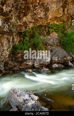 South Fork Clearwater River, forêt nationale de nez Perce, Idaho Banque D'Images