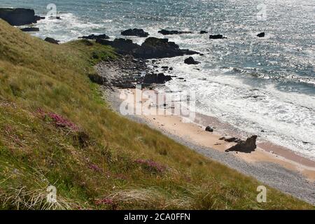 FORVIE SABLES NATIONAL NATURE RESERVE COLLIESTON SCOTLAND LITTORAL SAUVAGE AVEC DES FLEURS SAUVAGES ET DES HERBES SUR LES FALAISES Banque D'Images