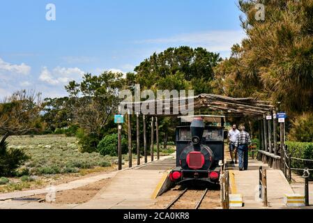 Tavira, Portugal - 07 mai 2018 : le mini-train Pedras d'el Rei relie le sentier du Portugal à la Praia do Barril sur l'Ilha de T. Banque D'Images