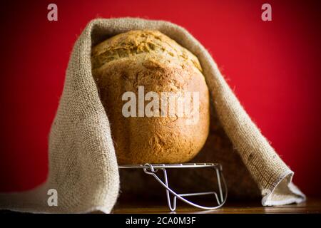 pain fait maison cuit à partir d'une machine à pain sur fond rouge Banque D'Images