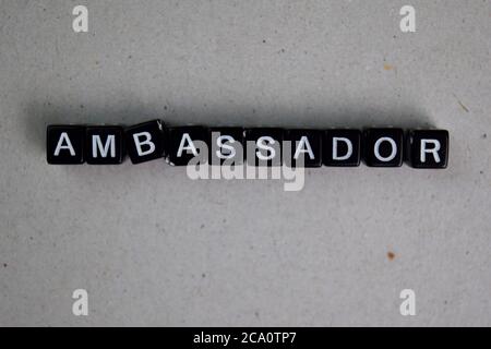 Ambassadeur sur des blocs de bois. Image traitée croisée avec table en bois. Banque D'Images