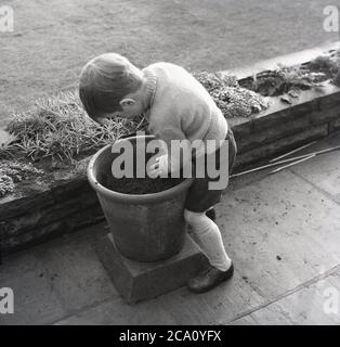 Années 1960, historique, commencer à jardiner jeune,... un petit garçon dans son uniforme d'école primaire à l'extérieur sur un patio remplissant une grande terre cuite ou terre cuite pot, Angleterre, Royaume-Uni. Banque D'Images