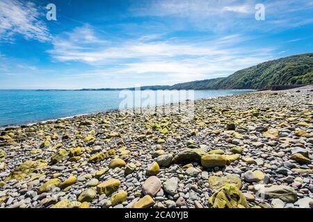 Rocky Shore à North Devon, Clovelly, Blue Sea & Sky Banque D'Images