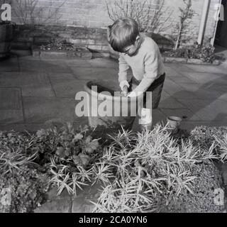 Années 1960, historique, commencer à jardiner jeune,... un petit garçon à l'extérieur sur un patio jouant avec le sol dans un pot de fleurs en faïence ou en terre cuite, Angleterre, Royaume-Uni. Banque D'Images