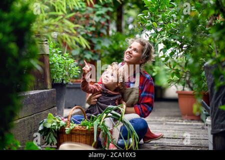 Mère avec petite fille de jardinage à la ferme, la culture de légumes biologiques. Banque D'Images