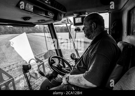 Conduite de la moissonneuse-batteuse Banque D'Images