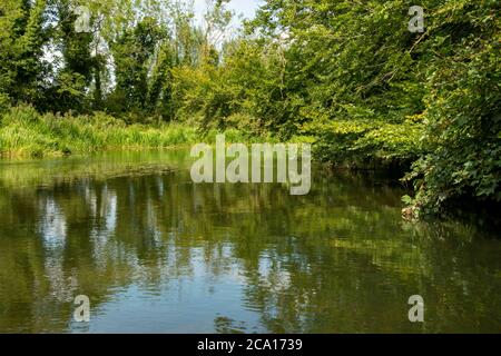 Vue depuis le barrage du moulin de Horstead, vue sur la rivière bure le jour de l'été Banque D'Images