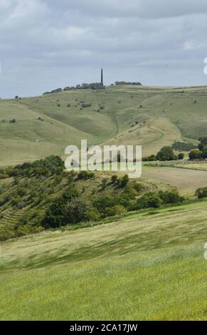 Vue de Morgans Hill vers le monument Lansdowne sur Cherhill Down avec CALSTONE en premier plan, Wiltshire.UK Banque D'Images