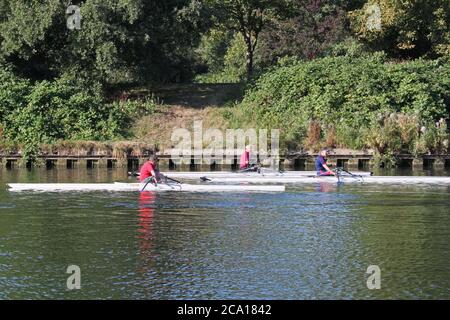 Les rameurs se reposent sur l'île de cigarette, la Tamise, Hampton court, East Molesey, Surrey, Angleterre, Grande-Bretagne, Royaume-Uni, Royaume-Uni, Europe Banque D'Images