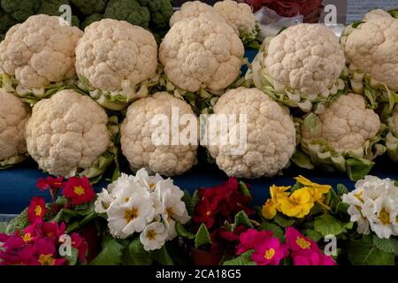 Groupe de chou-fleur avec des feuilles et des fleurs vertes Banque D'Images