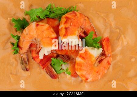 Crevettes tigrées cuites sur fond de sauce Marie Rose Banque D'Images