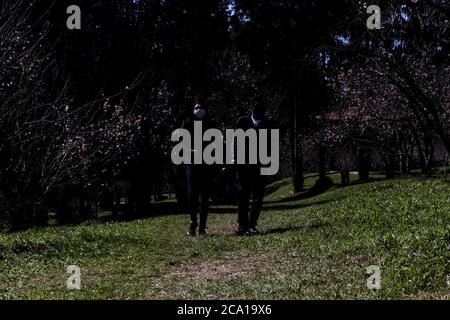 3 août 2020: Même avec l'annulation du festival des cerisiers en fleurs, les gens se rendent au Parque do Carmo pour bronzer, photographier, marcher avec leurs animaux de compagnie et faire un pique-nique sur les arbres de la cerisier grove qui au Brésil, Bloom à ce moment-là.les habitants affirment qu'après 4 mois et demi de quarantaine, il est nécessaire de sortir avec les enfants et leurs animaux de compagnie pour se débarrasser du sentiment de confinement causé par les restrictions de quarantaine. Credit: Dario Oliveira/ZUMA Wire/Alay Live News Banque D'Images