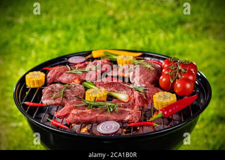 Viande et légumes frais sur le gril placés sur l'herbe. Barbecue, grill et cuisine Banque D'Images