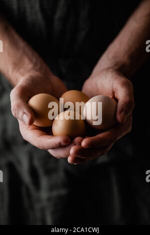 Des œufs frais biologiques sur les mains de jeunes agriculteurs Banque D'Images
