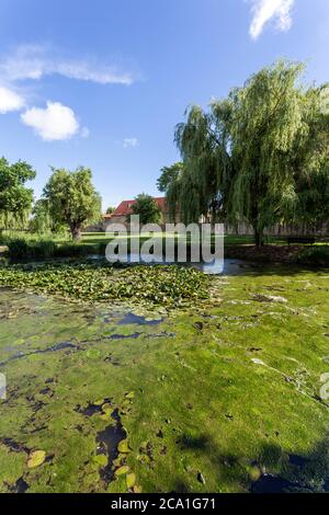 Parc du château de Rakoczi à Szerencs, un jour d'été en Hongrie. Banque D'Images