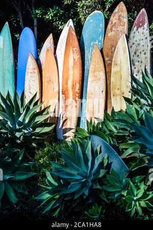 Une gamme verticale de planches de surf anciennes, gungy et anciennes dans un jardin agave en Californie du Sud Banque D'Images