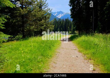 Le sentier Lightning Lake Loop Trail offre des vues sur Frosty Mountain, Manning Park, Colombie-Britannique Banque D'Images