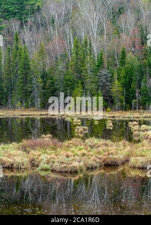 La végétation printanière se reflète dans le ruisseau Windy, Onaping, Grand Sudbury, Ontario, Canada Banque D'Images