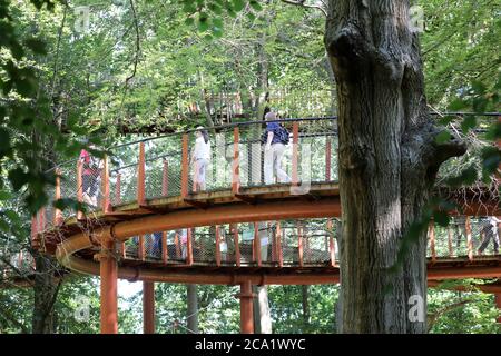 Ivenack, Allemagne. 14 juillet 2020. Les visiteurs sont sur le sentier de la cime des arbres dans le zoo d'Ivenack. La zone forestière de 75 hectares avec ses chênes vieux de mille ans est un 'Monument National naturel' et a été choisi comme 'Forest Area 2020' par l'Association des professionnels forestiers allemands. Credit: Bernd Wüstneck/dpa-Zentralbild/dpa/Alay Live News Banque D'Images