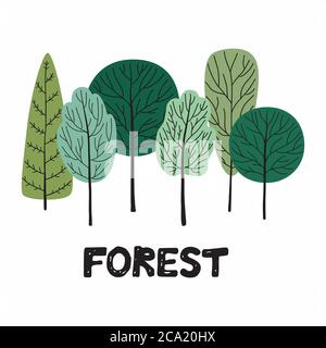 Forêt. Illustration vectorielle isolée sur fond blanc. Illustration de Vecteur