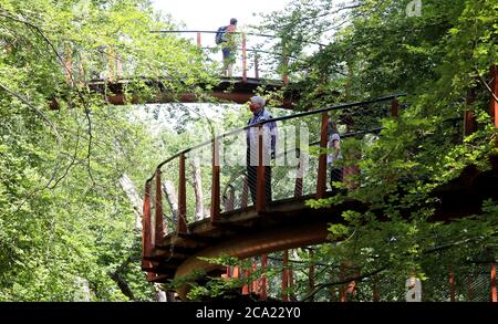 Ivenack, Allemagne. 14 juillet 2020. Les visiteurs sont sur le sentier de la cime des arbres dans le zoo d'Ivenack. La zone forestière de 75 hectares avec ses chênes vieux de mille ans est un 'Monument National naturel' et a été choisi comme 'Forest Area 2020' par l'Association des professionnels forestiers allemands. Credit: Bernd Wüstneck/dpa-Zentralbild/dpa/Alay Live News Banque D'Images