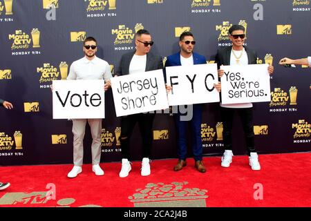 LOS ANGELES - 16 JUIN : Jersey Shore CAST, (G-D) Vinny Guadagnino, Mike Sorrentino, Ronnie Ortiz-Magro, Pauly D aux MTV film and TV Awards 2018 au Barker Hanger le 16 juin 2018 à Santa Monica, CA Banque D'Images