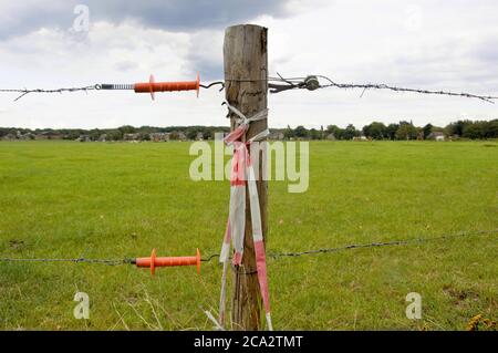poste de clôture sur un pré vert en été Banque D'Images