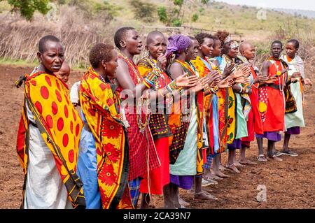 Les femmes Maasai portent une tenue traditionnelle dans une danse traditionnelle, dans un village de maasai. Réserve nationale de Maasai Mara. Kenya. Afrique. Banque D'Images