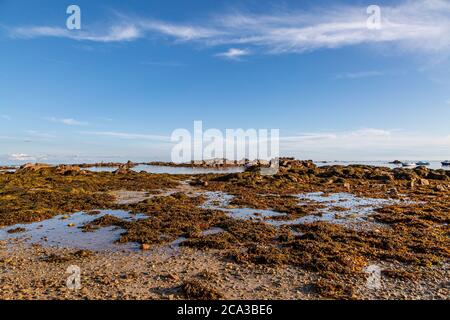 Vue sur un paysage côtier rocheux, à la plage de la Rocque sur l'île de Jersey Banque D'Images