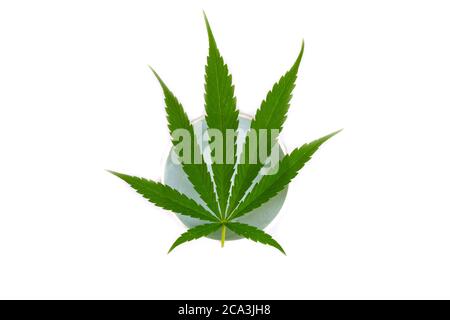 cosmétiques de soins du corps avec extrait de marijuana, beauté. crème hydratante et nettoyante de peau avec feuille verte plante de cannabis isolée sur fond blanc Banque D'Images