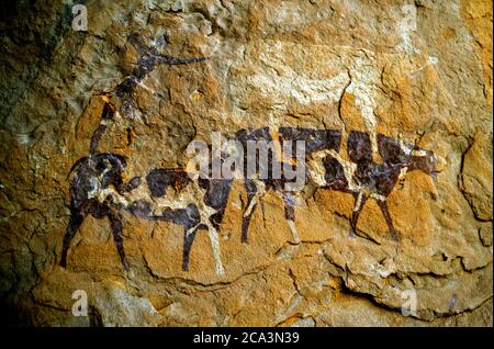 Algérie, Illizi, Parc national de Tassili n'Aguer, montagnes de Tadrarart: rockart néolithique - peintures censées avoir jusqu'à 12,000 ans, faites à l'en Banque D'Images