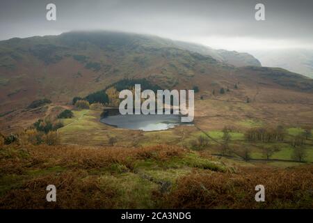 Blea Tarn et Wrynose sont tombés de Lingmoor lors d'une journée automnale brumeuse dans le parc national de Lake District, Cumbria, Angleterre. Banque D'Images