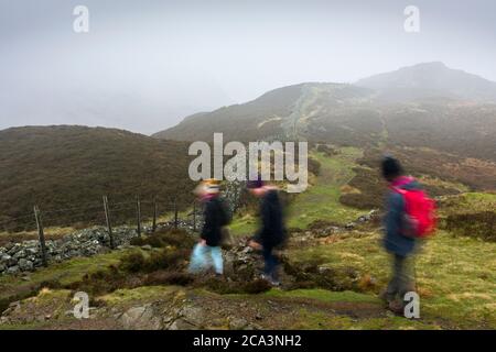 Les marcheurs tombés sur Lingmoor tombèrent un jour d'automne brumeux dans le parc national de Lake District, Cumbria, Angleterre. Banque D'Images