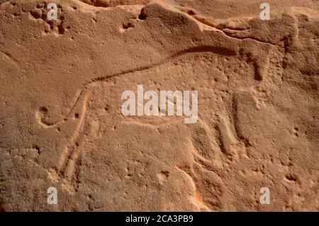 Algérie, Illizi, Parc national de Tassili n'Aguer : rockart néolithique - gravure qui aurait jusqu'à 12,000 ans, faite à la fin de la dernière glace a Banque D'Images