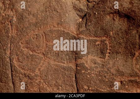 Algérie, Illizi, Parc national de Tassili n'Aguer : rockart néolithique - gravure qui aurait jusqu'à 12,000 ans, faite à la fin de la dernière glace a Banque D'Images