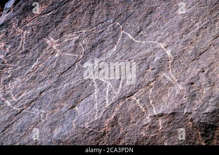 Algérie, Illizi, Parc national de Tassili n'Aguer : rockart néolithique - gravure qui aurait jusqu'à 12,000 ans, faite à la fin de la dernière glace a Banque D'Images