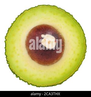 L'avocat isolé sur fond blanc avec clipping path Banque D'Images