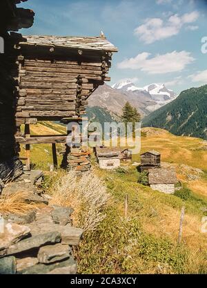 C'est le village de Zmutt qui surplombe la vallée en direction des montagnes de la Rimpfishhorn, situé au-dessus de la station de vacances de montagne suisse de Zermatt dans le canton suisse du Valais Banque D'Images
