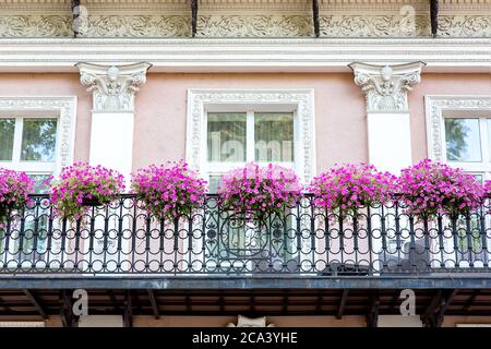 balcon avec balustrade en fer forgé avec pots de fleurs suspendus avec pétunias fleuris sur la façade du bâtiment avec décoration architecturale Banque D'Images