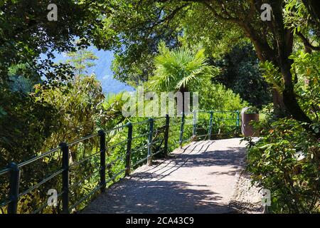 Italien. 29 juillet 2020. Suedtirol, Italie juillet 2020: Impressions de Suedtirol juillet 2020 Meran, Gilfpromenade, randonnée, palmiers, Meraner Land, Suedtirol | usage dans le monde crédit: dpa/Alay Live News Banque D'Images