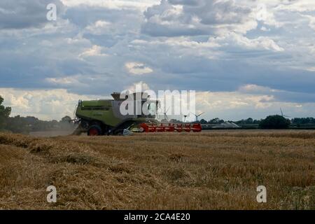 Récolte d'hiver, côté distance moyenne, vue de la récolteuse en mouvement De gauche à droite récolte et chaume dans le champ éoliennes En distance ciel nuageux Banque D'Images