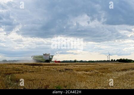 Récolte d'hiver, côté distance moyenne, vue de la récolteuse en mouvement De gauche à droite récolte et chaume dans le champ éoliennes En distance ciel nuageux Banque D'Images