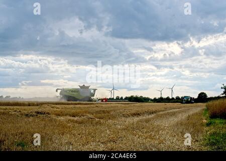 Récolte d'hiver, côté distance moyenne, vue de la récolteuse en mouvement De gauche à droite récolte et chaume dans le champ éoliennes En distance ciel nuageux Banque D'Images