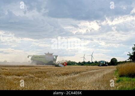Récolte d'hiver, côté distance moyenne, vue de la récolteuse en mouvement De gauche à droite récolte et chaume dans le champ éoliennes En distance ciel nuageux Banque D'Images