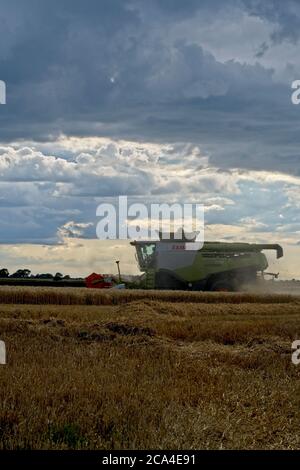 Récolte d'hiver vue latérale sur la distance moyenne de la moissonneuse-batteuse combinée Travail dans le champ récolte de récolte ciel nuageux poussière voler Portrait format Banque D'Images